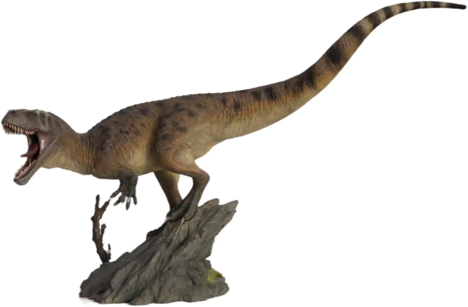 1:18 Scale Torvosaurus Scene Model Megalosauridae Dinosaur Animal Collection GK Figure Gift for Adult