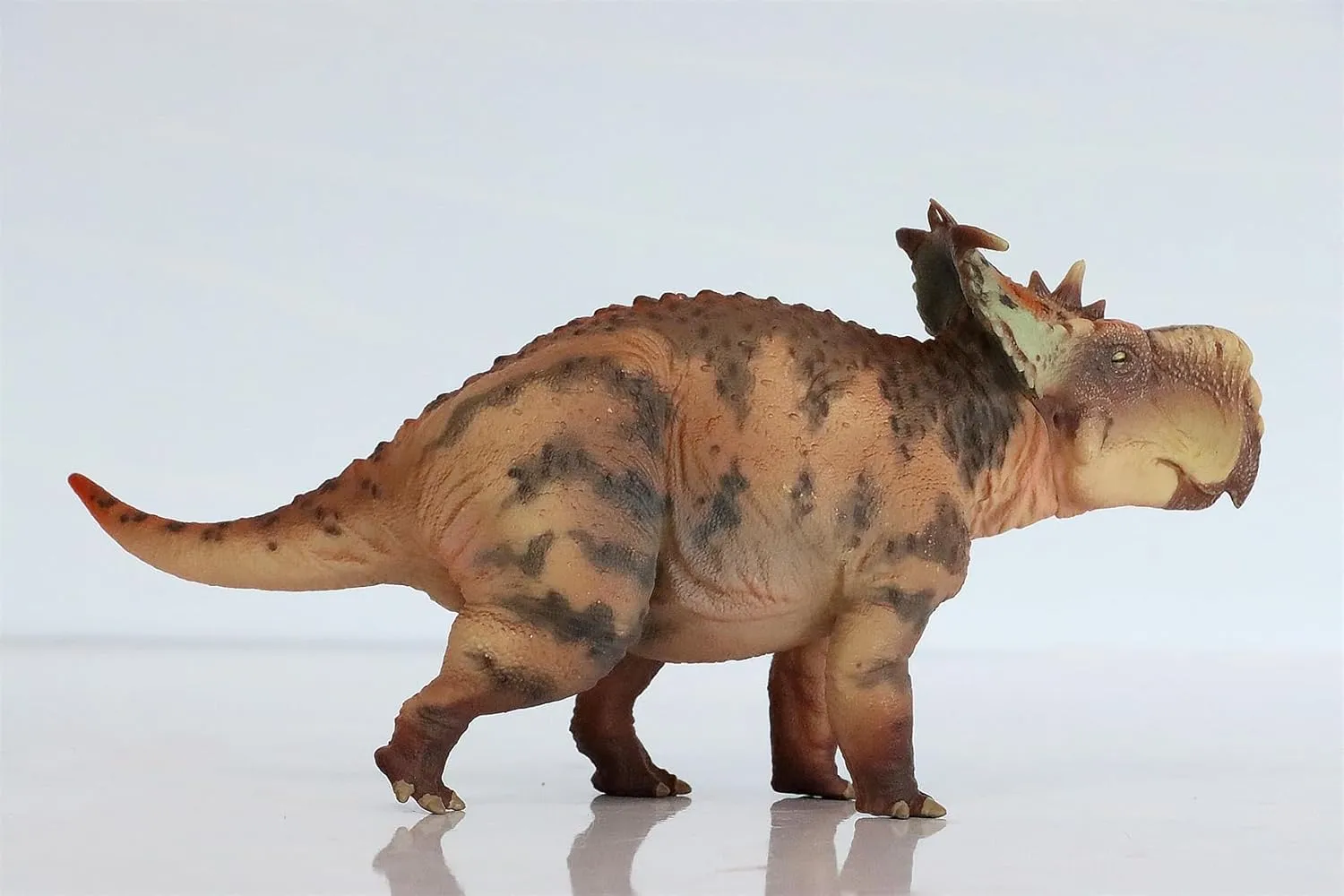 1:35 Scale Pachyrhinosaurus Figure Creataceous Stegosauridae PVC Model Dinosaur Collector Animal Wonderful Decoration Gift for Adult (Orange)