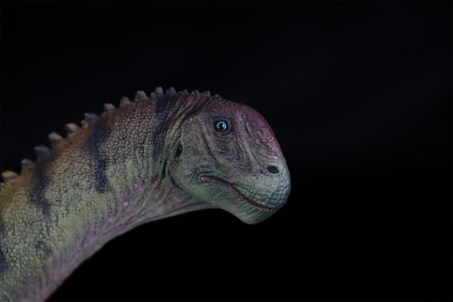 1:35 Camarasaurus Model Sauropod Dinosaur Animal Collector GK Decor Gift (Green with Box)