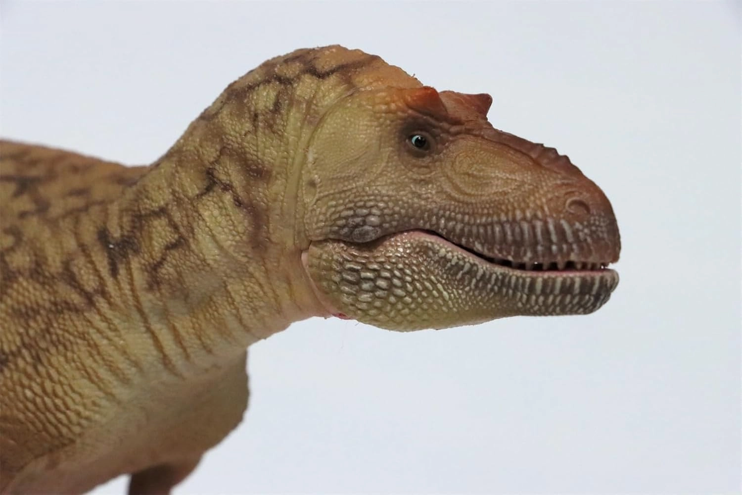 1:35 Scale Daspletosaurus Figure Tyrannosauridae Sturdy Dinosaur Animal Collection Realistic PVC Model Home Decoration Gift for Adult (Green)