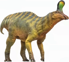 1:35 Scale Scientific Art Model Tsintaosaurus XiaoQin Figure Realistic Hadrosauridae Animal PVC Decoration