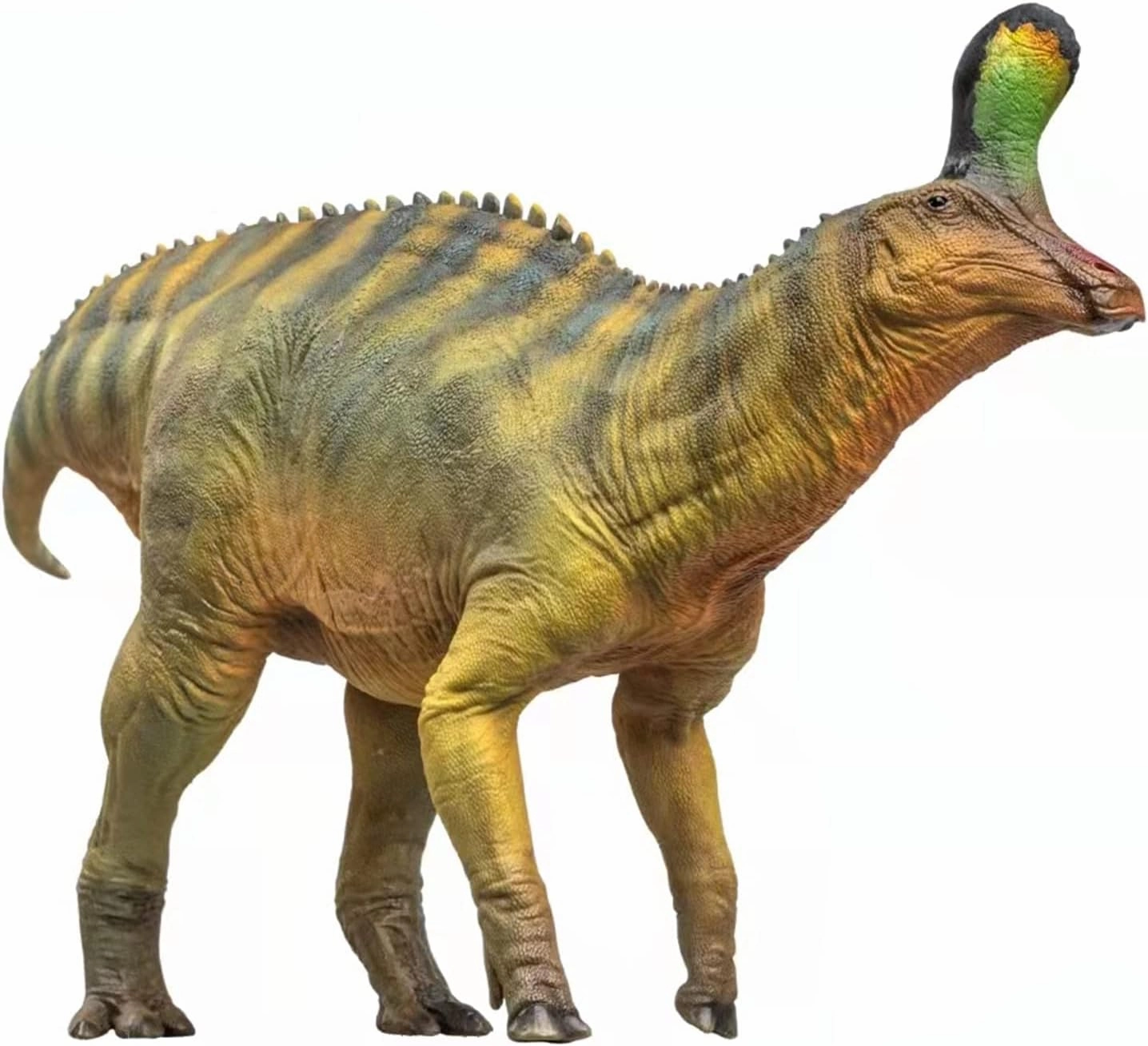 1:35 Scale Scientific Art Model Tsintaosaurus XiaoQin Figure Realistic Hadrosauridae Animal PVC Decoration