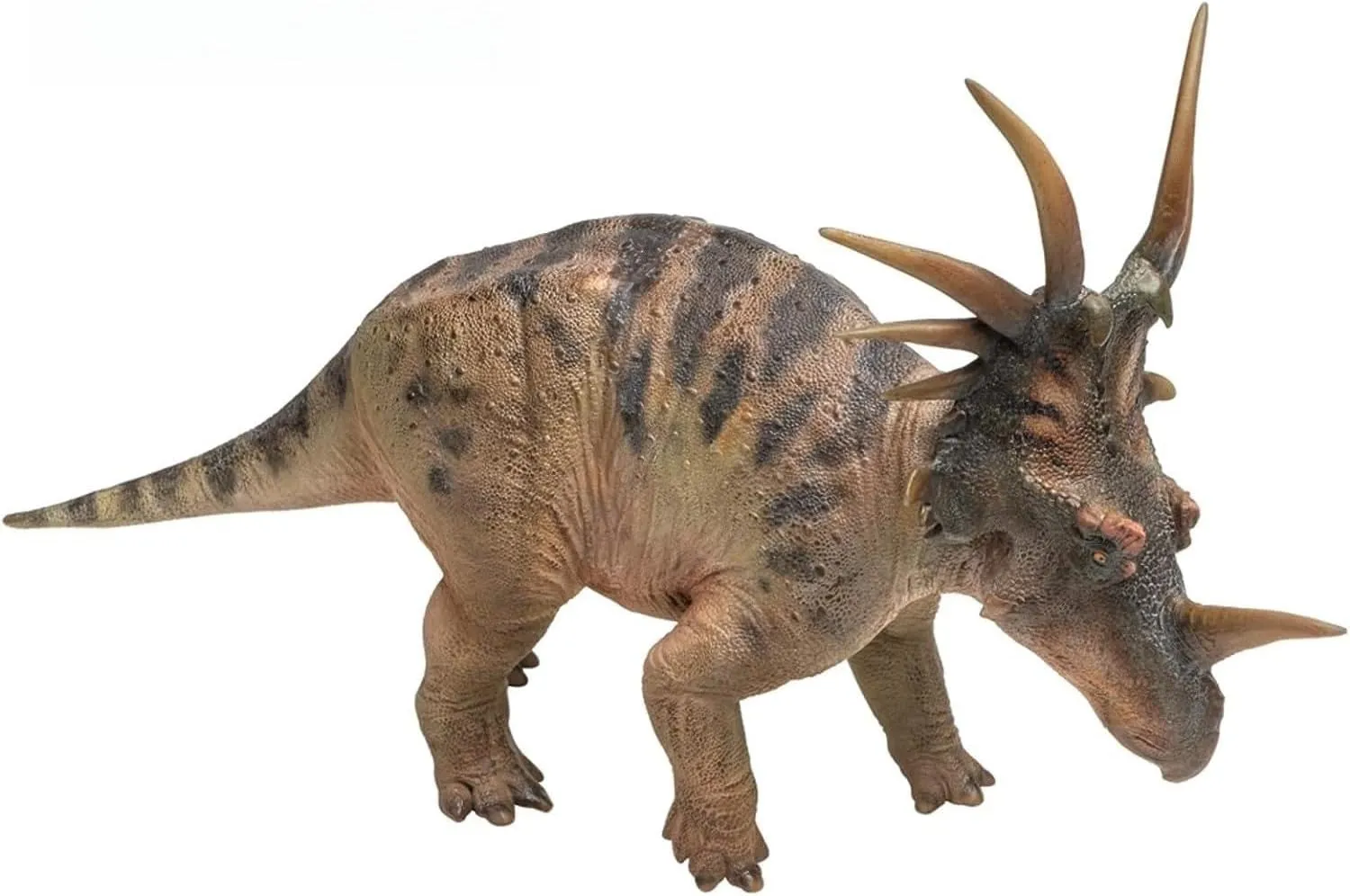59 Anthony Styracosaurus Figure Triceratops Ceratopsidae Scientific Art Model