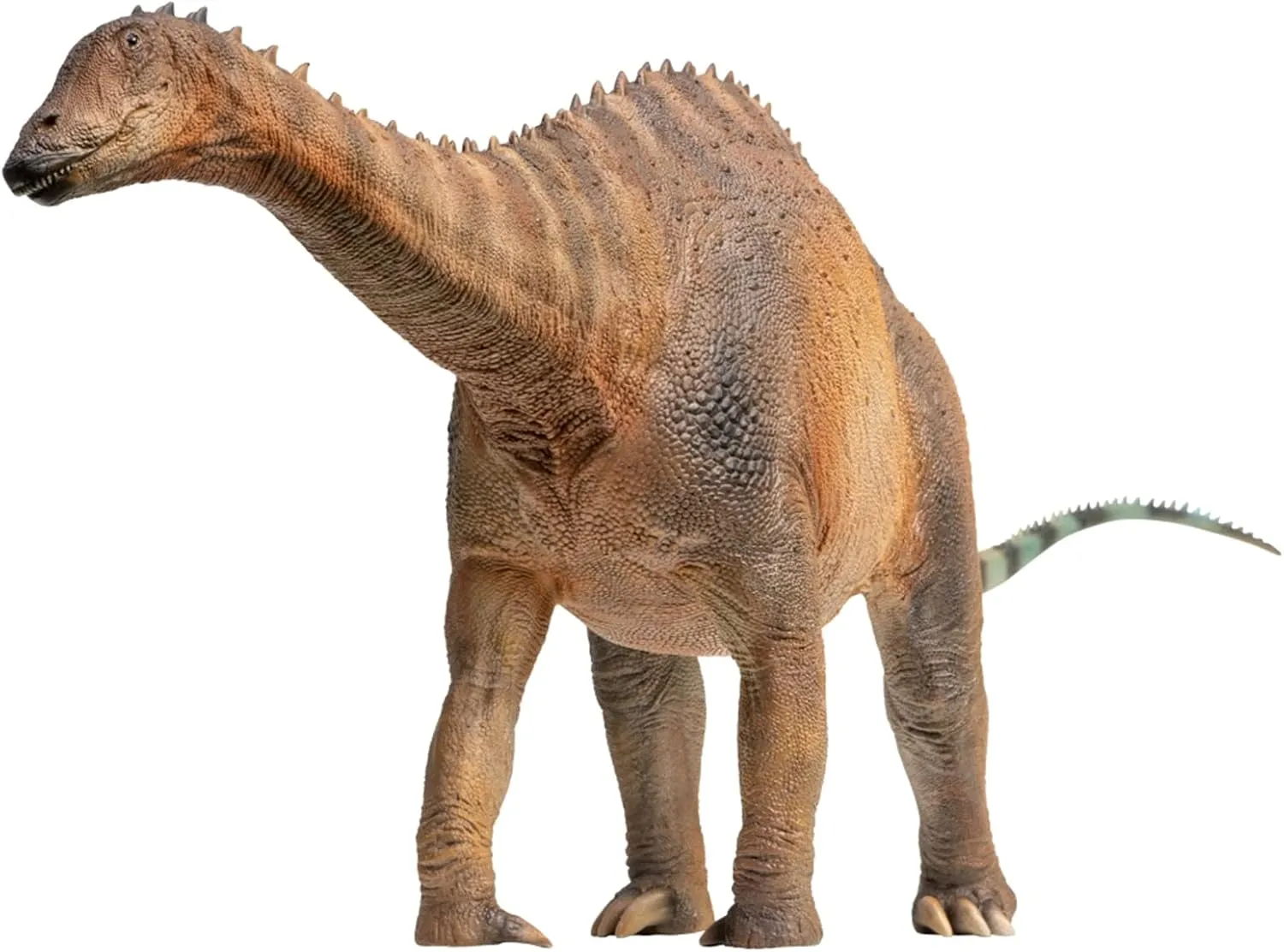 63 Chuanchuan Lingwulong Figure Diplodocus Sauropoda Dinosaur Scientific Art Model