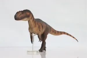 76 Yangchuanosaurus Magnus Dapeng Model Allosauroidea PVC Animal Figure Dinosaur Decor Gift