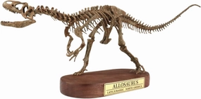Allosaurus Skeleton Model 3D Printed Dinosaur Decor