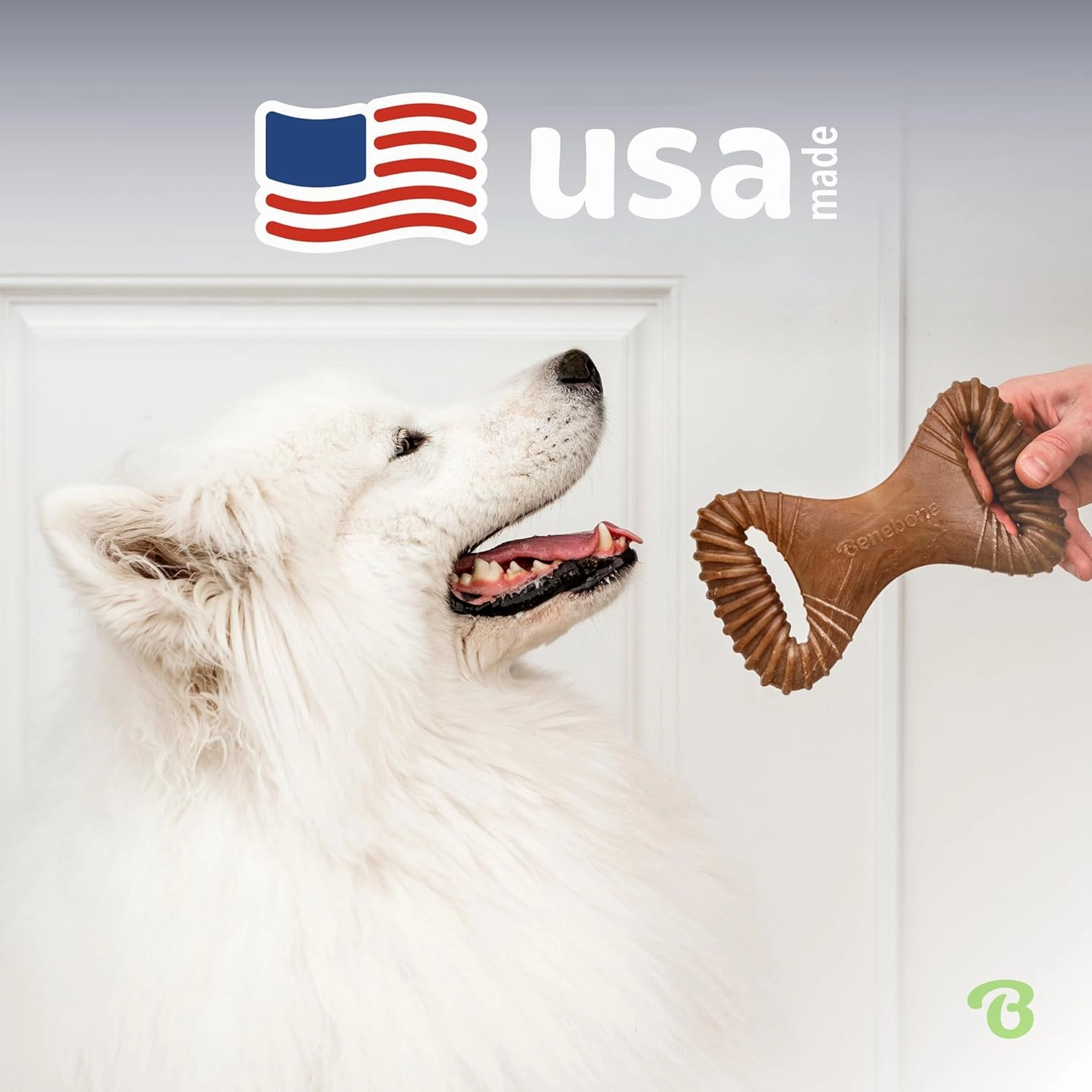 Benebone Dental Durable Dog Chew Toy for Aggressive Chewers, Real Bacon, Made in USA, Medium