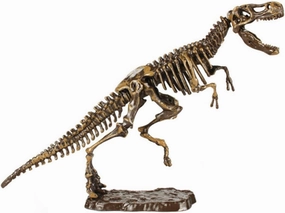 Boys and Girls -Friendly Dinosaur Toys Dinosaur Themed Decor Interactive Dig Cognitive Development Toy