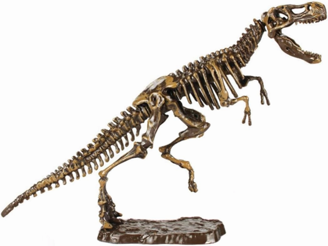 Boys and Girls -Friendly Dinosaur Toys Dinosaur Themed Decor Interactive Dig Cognitive Development Toy