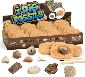 Byncceh Fossil Dig Kit - Educational STEM Science Toys for Kids Ages 6  - Dig Up 12 Fossils Real & Dinosaur Bones Rocks - Digging Activities Kits - Paleontology, Discovery Gifts for Boys & Girls
