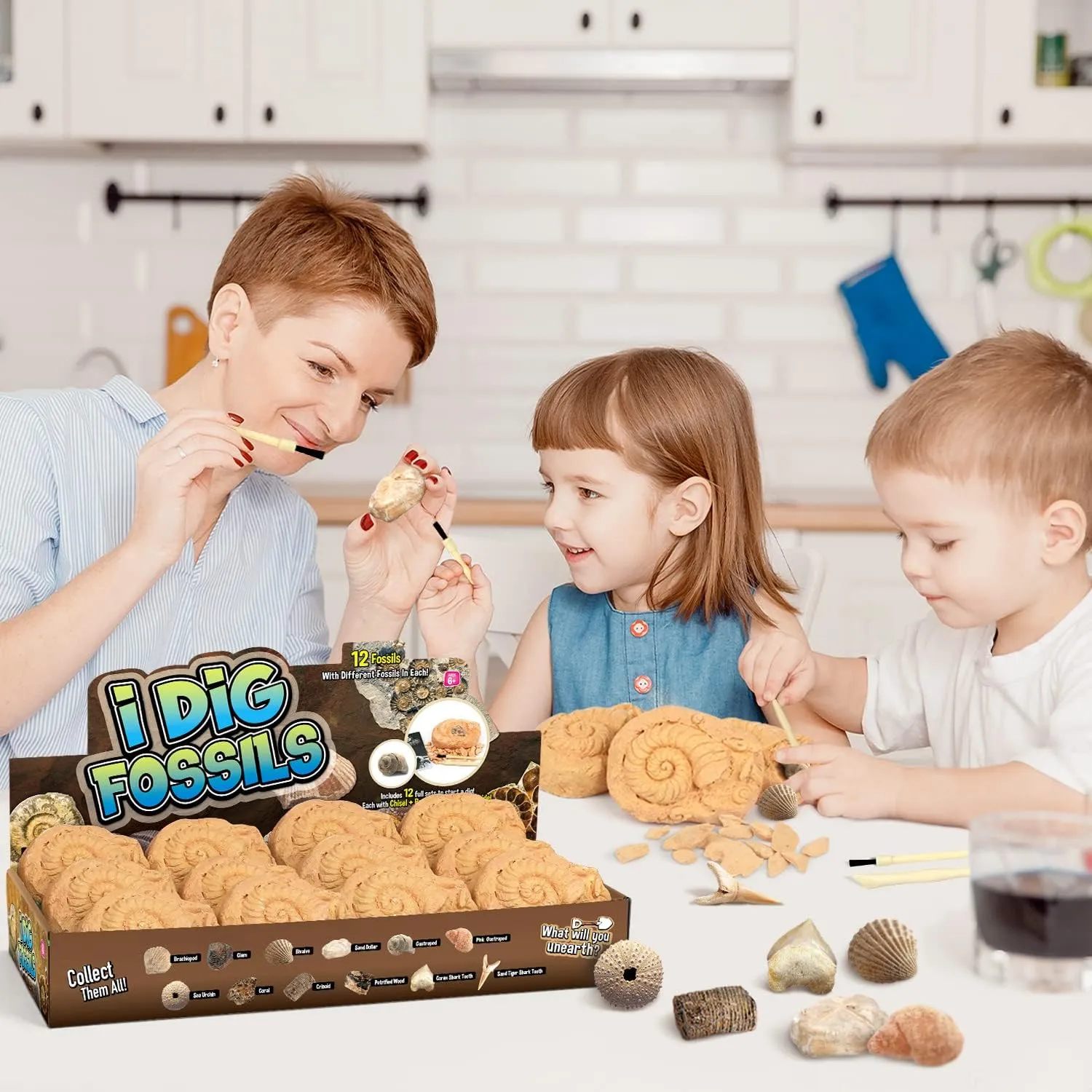 Byncceh Fossil Dig Kit - Educational STEM Science Toys for Kids Ages 6  - Dig Up 12 Fossils Real & Dinosaur Bones Rocks - Digging Activities Kits - Paleontology, Discovery Gifts for Boys & Girls