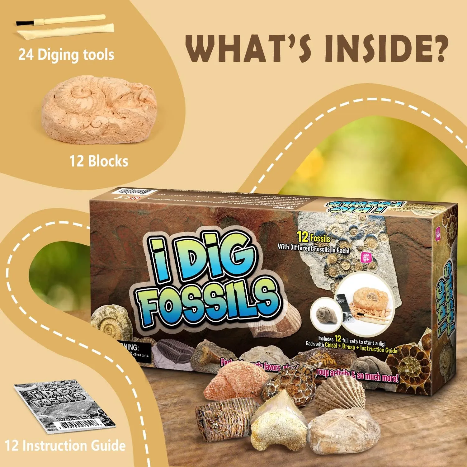 Byncceh Fossil Dig Kit - Educational STEM Science Toys for Kids Ages 6  - Dig Up 12 Fossils Real & Dinosaur Bones Rocks - Digging Activities Kits - Paleontology, Discovery Gifts for Boys & Girls