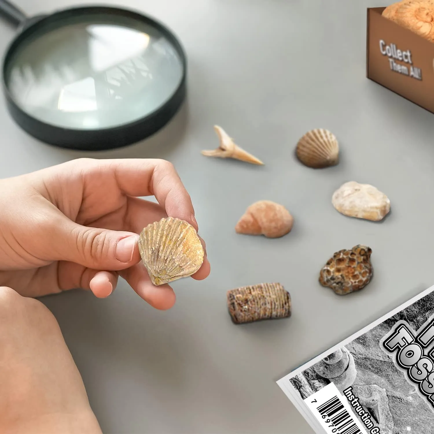 Byncceh Fossil Dig Kit - Educational STEM Science Toys for Kids Ages 6  - Dig Up 12 Fossils Real & Dinosaur Bones Rocks - Digging Activities Kits - Paleontology, Discovery Gifts for Boys & Girls