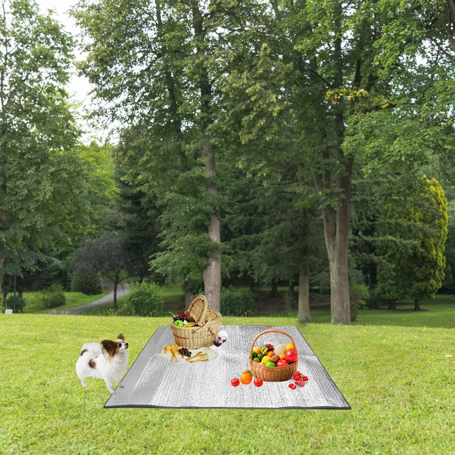Camping Mat Portable Sleeping Pad for Outdoor Activities with Insulation