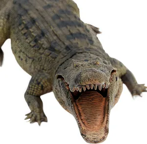 Crocodile Animal Toy for Kids, Alligator with Moveable Jaw Toy Figure, 15 inches Lenght Natural World Aligator Action Figures Wildlife Crocodile Cayman Figurine, Gift or Collect for Kids