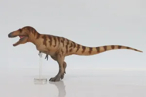 Daspletosaurus Cole 73 Model Prehistoric Animal Figure Dinosaur Collector