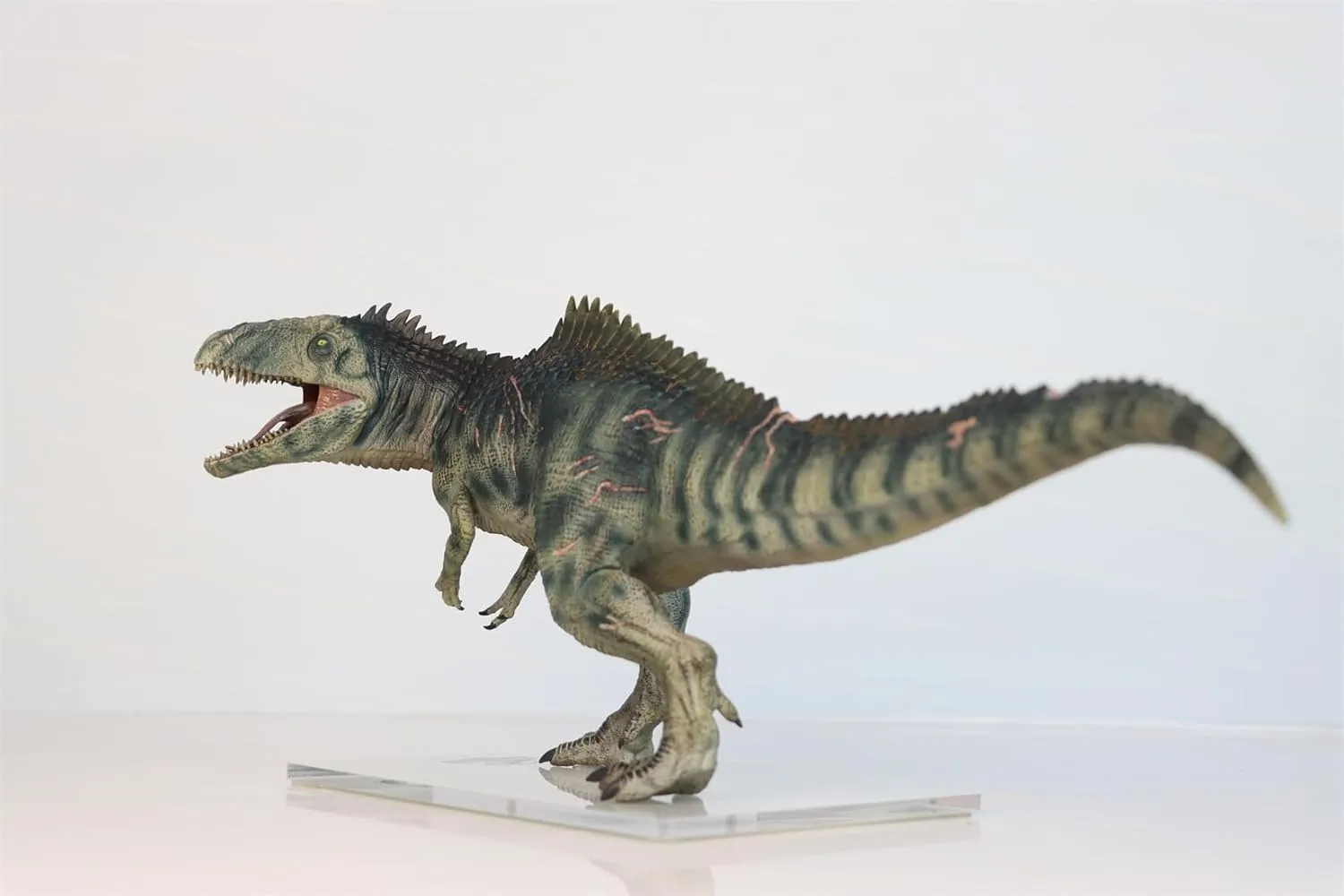 Dino Dream 1:30 Scale Giganotosaurus Figure Dinosaur Collector Animal Model Home Decor Gift