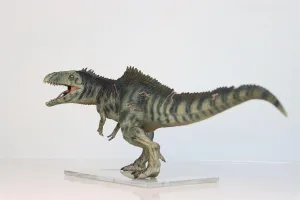 Dino Dream 1:30 Scale Giganotosaurus Figure Dinosaur Collector Animal Model Home Decor Gift