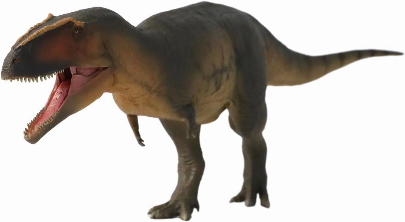 Dinosaur Museums Series 17 Lucas Giganotosaurus 1:35 Scale Scietific Art Model Figure