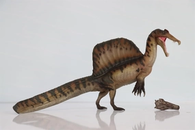 Dinosaur Museums Series 19AYMEN The Spinosaurus 1:35 Scientific Art Model PVC Animal Figure Gift