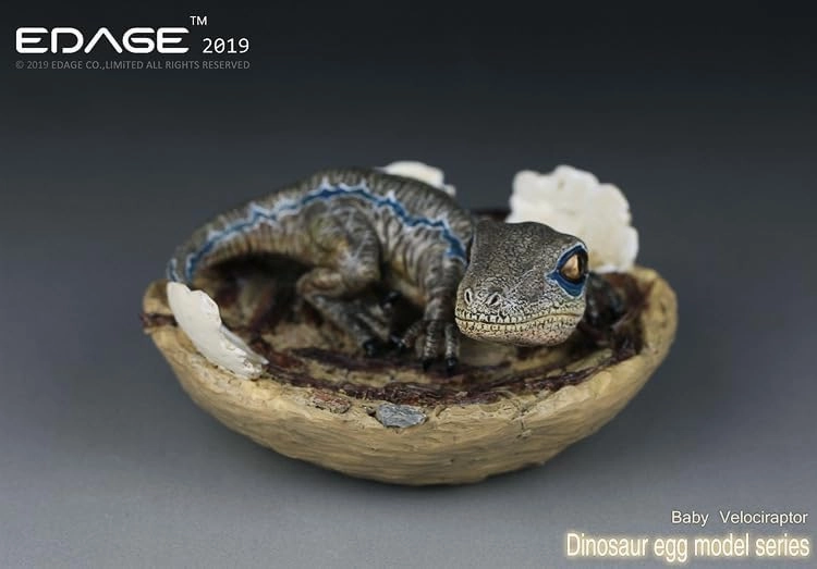 EDAGE Velociraptor Baby Dinosaur Egg Figure Raptor Animal Model Collection Decor Gift (Gray)