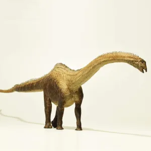 Eofauna 1:40 Scale Diplodocus Figure Realistic Sauropod Diplodocidae Dinosaur PVC Animal Model