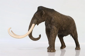 Eofauna 1:35 Scale Mammuthus Columbi Model Elephantidae Animal Figure Collection Decor Gift