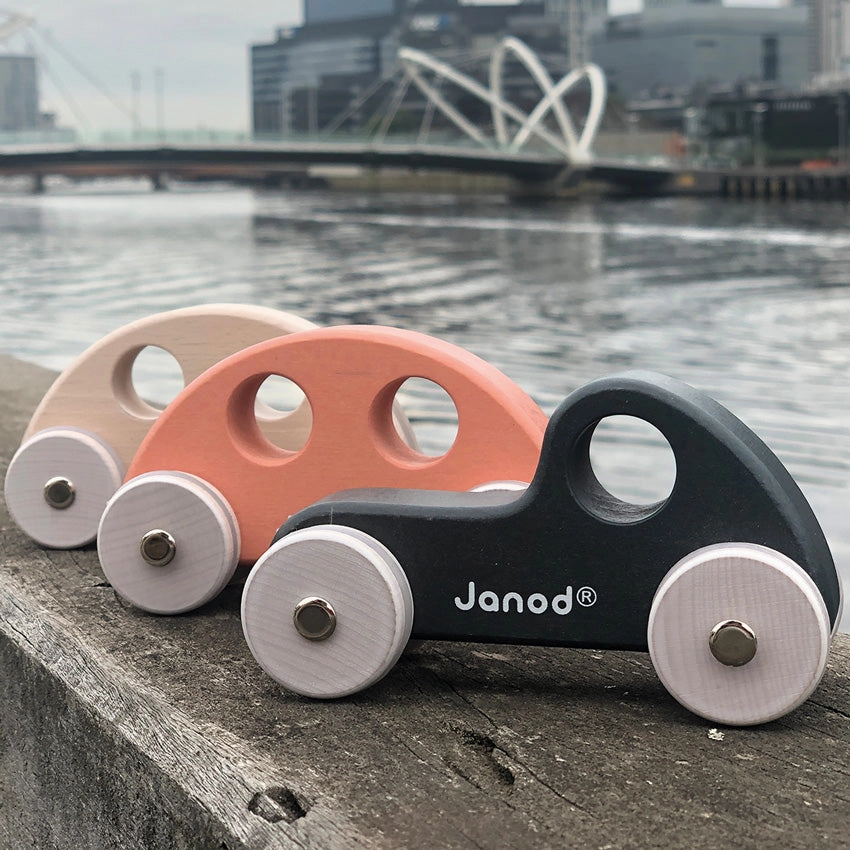 Janod Cocoon Wooden Toy Cars