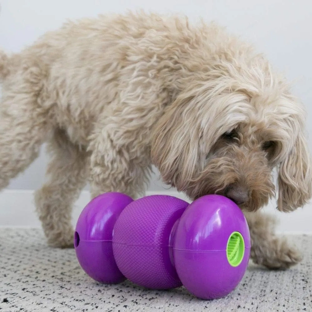 Kong Company 38703429: Replay Treat Dispenser Dog Toy, Purple Lg
