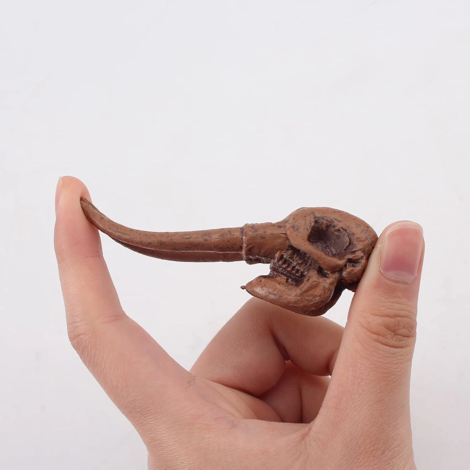 LC JoyCre Realistic Mini Mammal Skull Set Prehistoric Animals for Sandbox Toys Fake Dinosaur Bones for Kids Toys Dinosaur Bones for Kids to Dig Up
