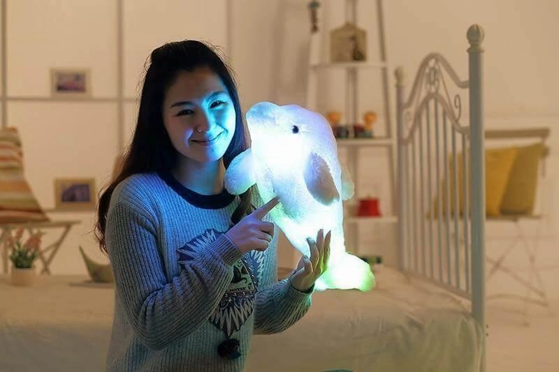 Light-up Plush Dolphin - Creative Stuffed Animal Toy