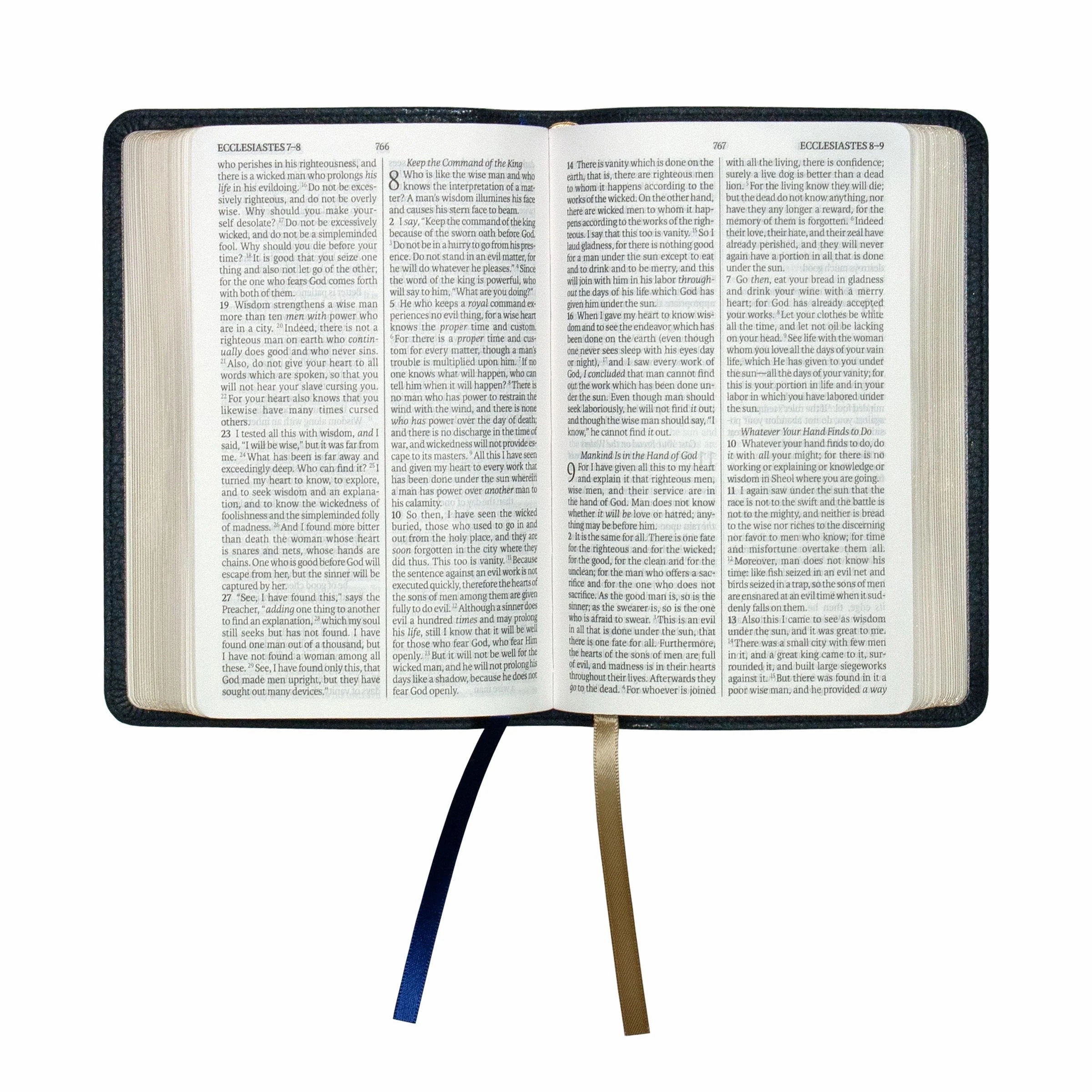 LSB Compact Edition (Paste-Down Cowhide, Blue)