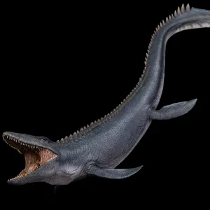 Nanmu Mosasaurus 2.0 Lord of Abyss Model Mosasauridae Dinosaur Figure Prehistoric Animal PVC Collector Decoration Gift