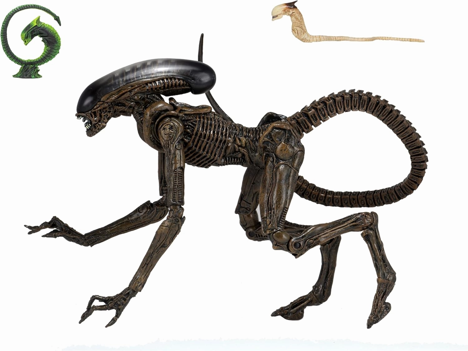 NECA Aliens Alien 3 Dog Alien Ultimate 7IN Action Figure