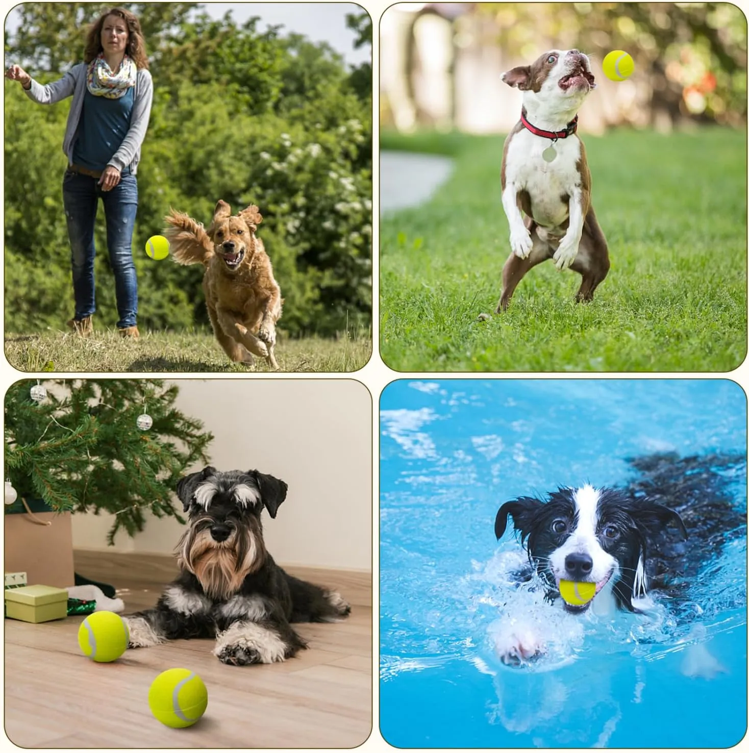 Nobleza 12 Pack 2.5' Floatable Squeaky Tennis Balls for Small Medium Dogs, Training Safe Natural Rubber Squeaky Dog Balls for Fetch Exercise, Yellow