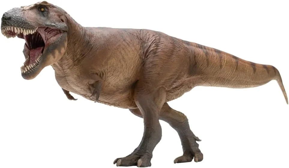 PNSO Dinosaur Museums Series (Cameron The Tyrannosaurus rex 1:35 Scietific Art Model)