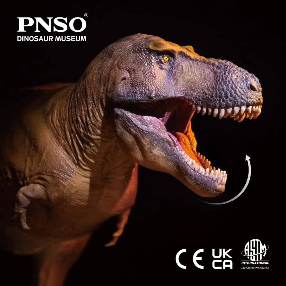 PNSO Dinosaur Museums Series (Cameron The Tyrannosaurus rex 1:35 Scietific Art Model)