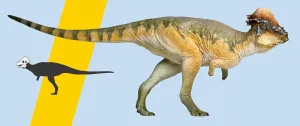 PNSO Pachycephalosaurus Austin Figure Realistic Stygimoloch Pachycephalosauridae Dinosaur PVC Collector Toys Animal Art Model Decoration Gift for Adult