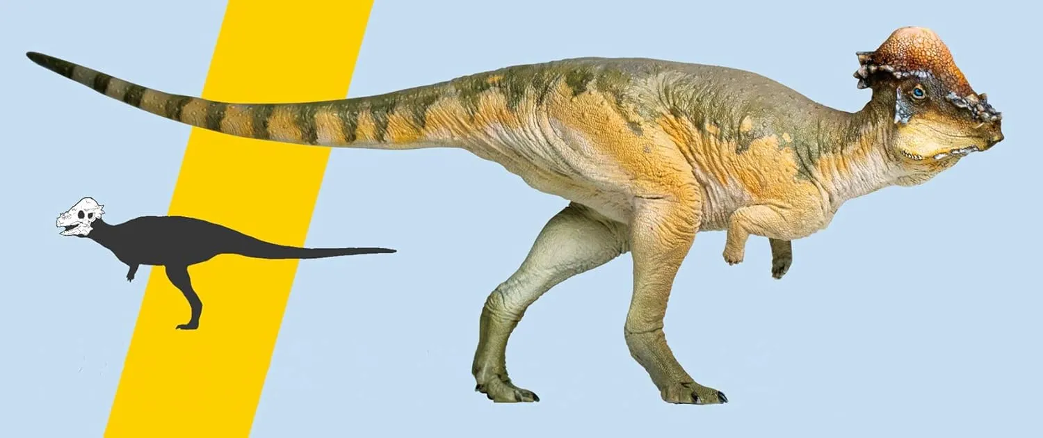 PNSO Pachycephalosaurus Austin Figure Realistic Stygimoloch Pachycephalosauridae Dinosaur PVC Collector Toys Animal Art Model Decoration Gift for Adult
