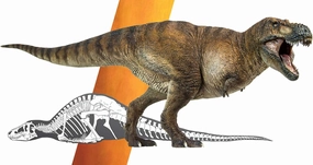PNSO 135 Tyrannosaurus Rex Wilson Figure Realistic T-Rex Tyrannosauridae Dinosaur PVC Collector Toys Animal Museum Scientific Art Model Decoration Gift for Adult