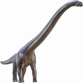 PNSO Dinosaur Museums Series (New ER-MA The Mamenchisaurus 1:45 Scientific Art Model)