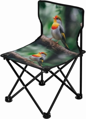 Portable Camping Folding Chairs Foldable Chair Small Bird Sparrow 1 Lightweight Backpacking Outdoor Outside Fishing