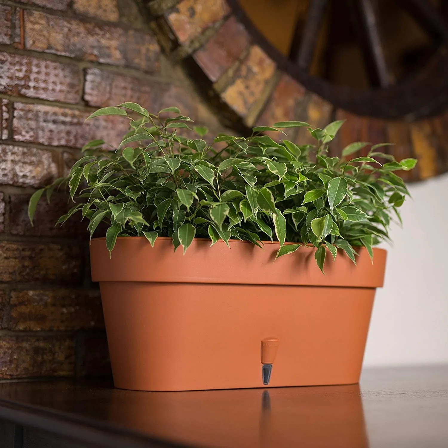 Santino Self Watering Window Box Planter Latina 15.6 Inch, Terracotta, Indoor/Outdoor Windowsill/Oblong Shape Plastic Planter with Bottom Watering