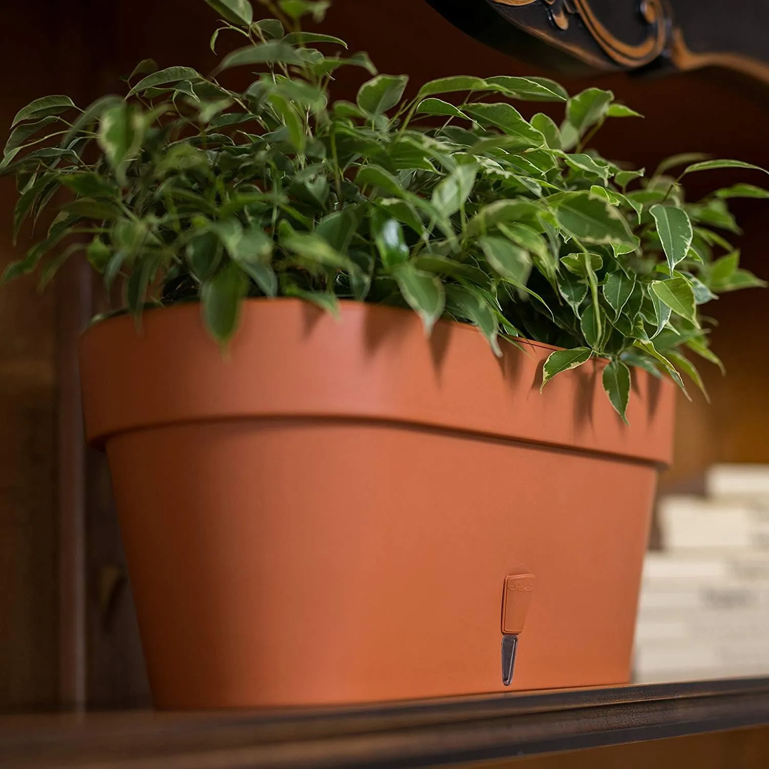 Santino Self Watering Window Box Planter Latina 15.6 Inch, Terracotta, Indoor/Outdoor Windowsill/Oblong Shape Plastic Planter with Bottom Watering
