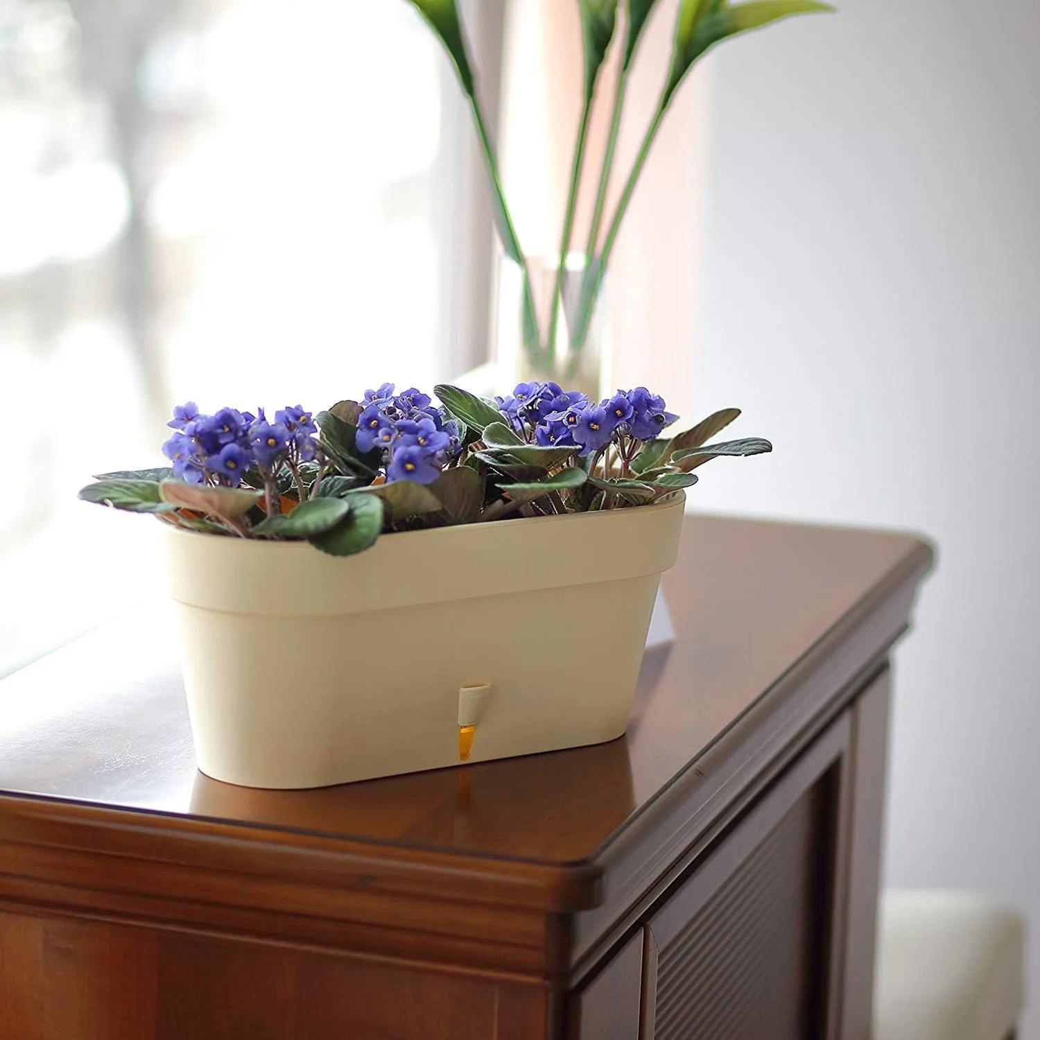 Santino Self Watering Window Box Planter Latina 15.6 Inch, Terracotta, Indoor/Outdoor Windowsill/Oblong Shape Plastic Planter with Bottom Watering
