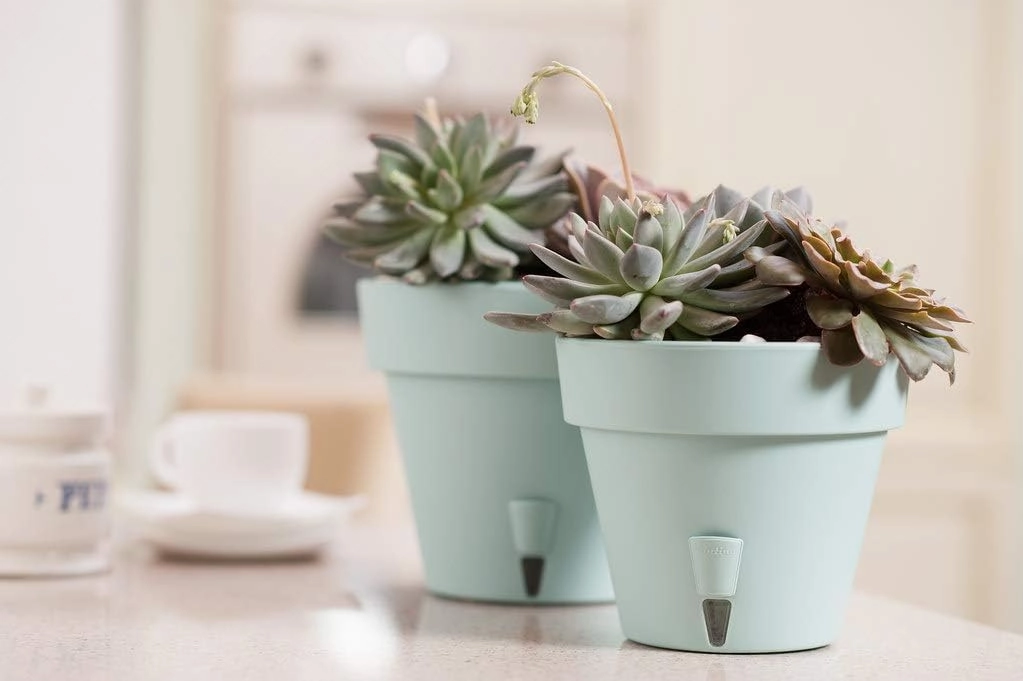 Santino Self Watering Planter Latina (6.9 Inch- Set of 3, Cream) Indoor/Outdoor Flower Pot with Bottom Watering and Water Level Indicator