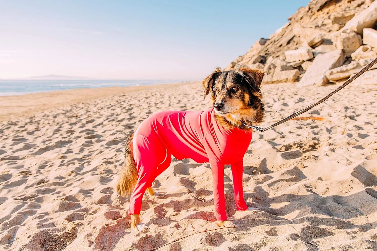 Shed Defender Original Dog Onesie - Seen On Shark Tank, Contains Shedding of Dog Hair for Home, Car, Travel, Anxiety Calming Shirt, Surgery Recovery Body Jumpsuit, E Collar Alternative (Red, XS)