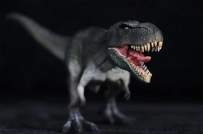 Tyrannosaurus Rex Figure Tyrannosauridae Dinosaur Model T-Rex Collector