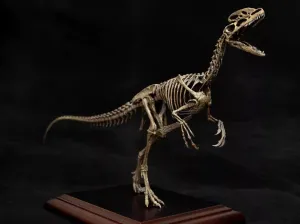 VWUVWU 1:10 Scale Guanlong Wucaii Figure Dinosaur Skeleton Resin Animal Model Collector GK Decor Gift for Adult
