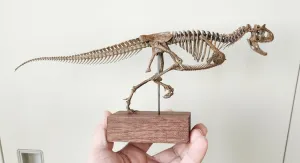 VWUVWU 1:20 Scale Carnotaurus Skeleton Figure Abelisauridae Resin Dinosaur Model Animal Collector GK Decor Gift for Adult